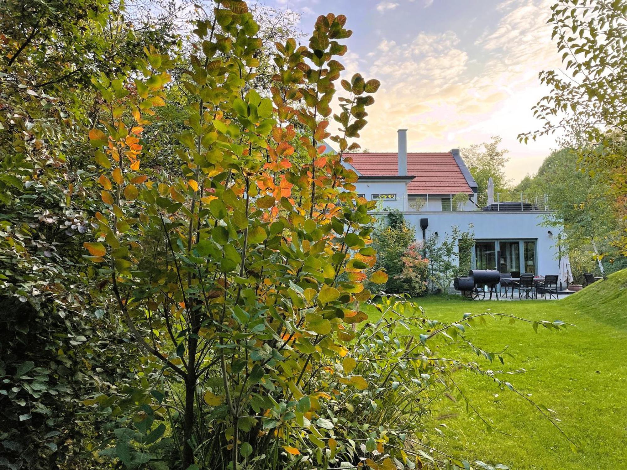 Villa Viridis Buekkalja Borsodgeszt Eksteriør billede